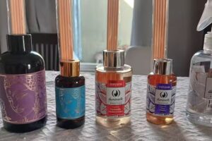 Luna Tienda Hol&iacute;stica