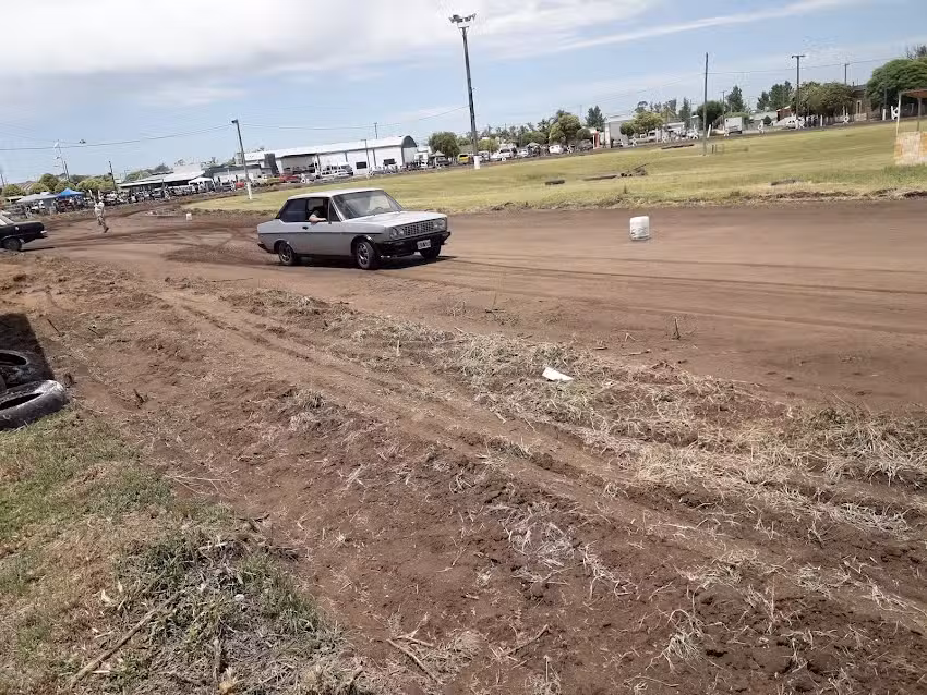 Man&iacute; Cuatro Hojas