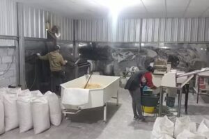 Manisera &ldquo;DAN-JUL&rdquo;