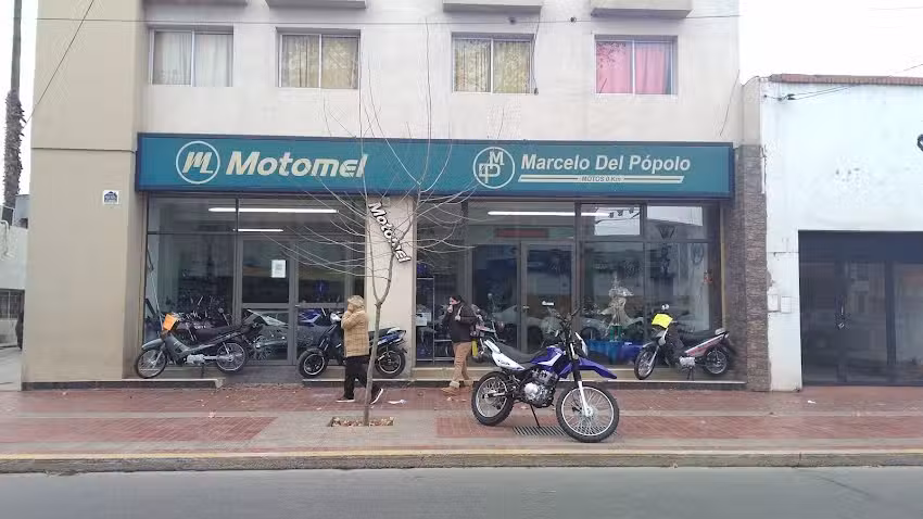 Marcelo del P&oacute;polo