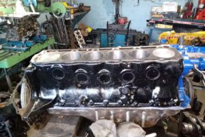 M&aacute;ximo motores