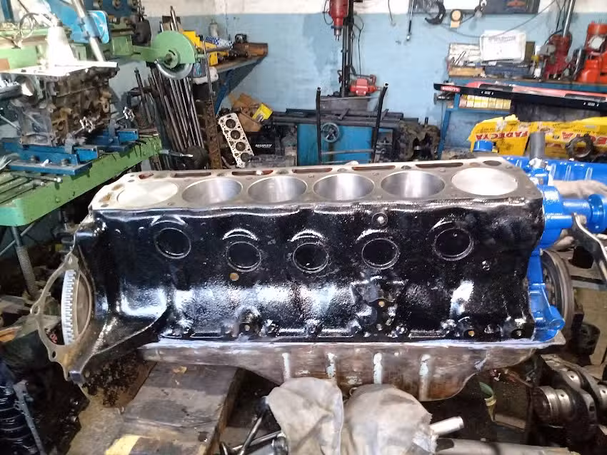 M&aacute;ximo motores