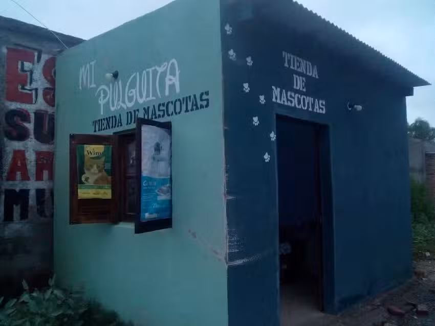 MI PULGUITA Peluquer&iacute;a canina/ Tienda