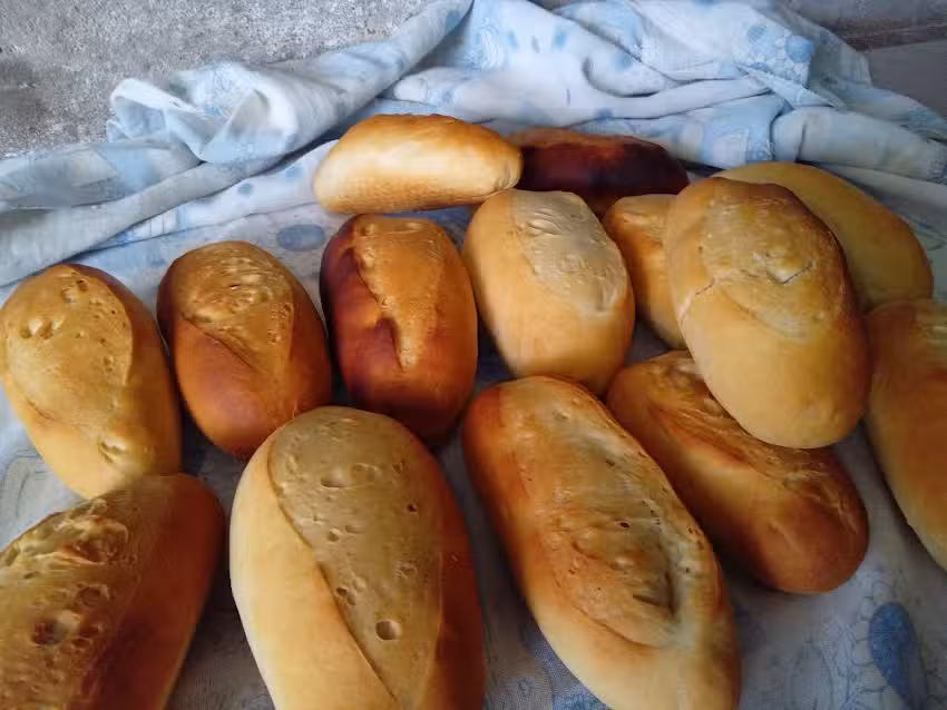 Mini Service Do&ntilde;a Hayde&egrave; 🥟