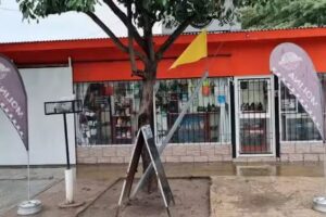 Molina motorepuestos