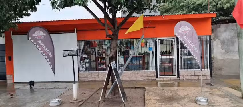 Molina motorepuestos