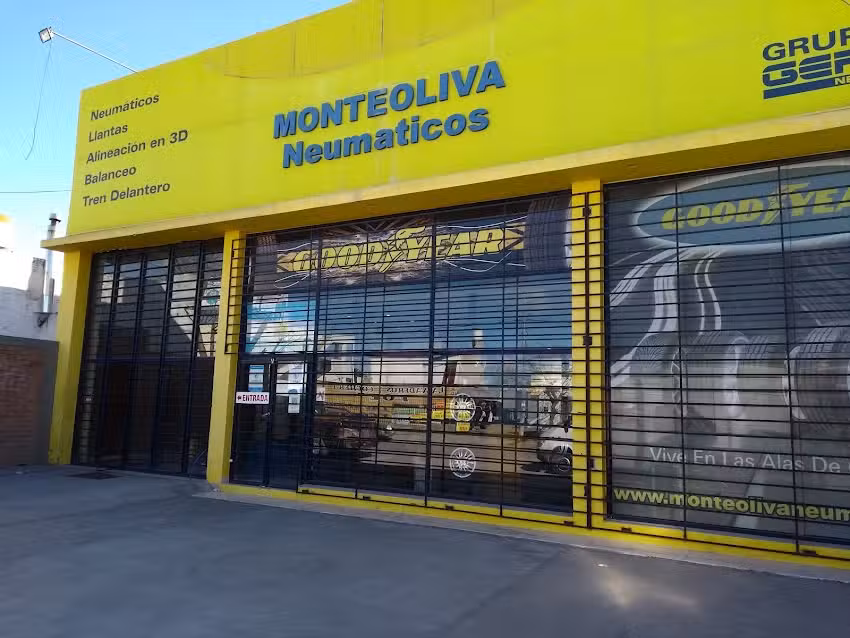 Monteoliva Neum&aacute;ticos