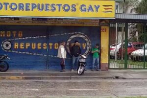 MotorepuestosGay