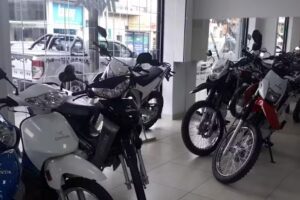 MOTOZUNI LUIS GUILLON