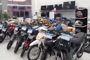 Mu&ntilde;oz Marchesi | Hermoso Campo