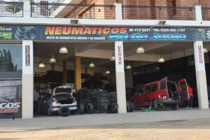 Neum&aacute;ticos 20 de Junio