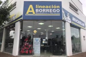 Neum&aacute;ticos Borrego