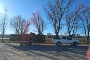 Neum&aacute;ticos Chelforo