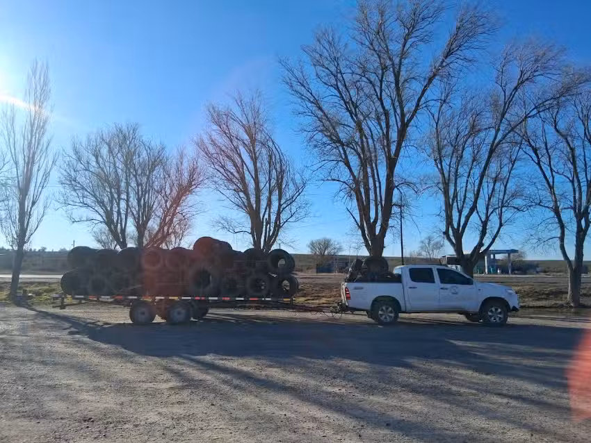 Neum&aacute;ticos Chelforo