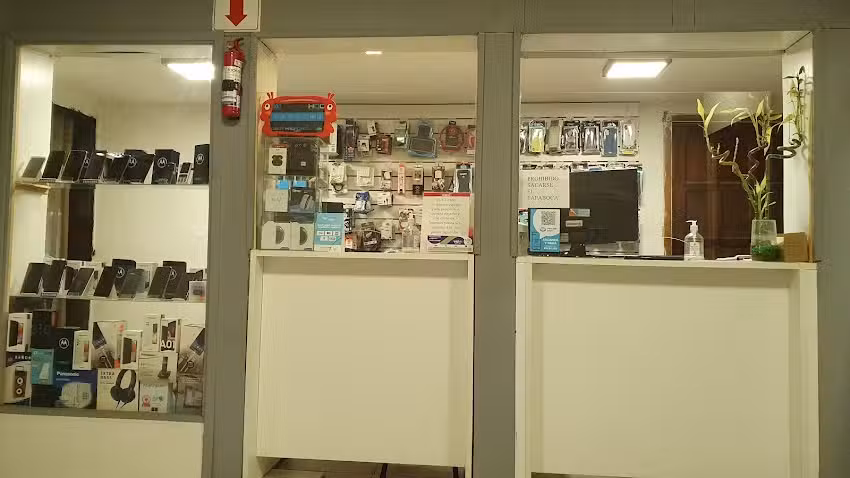 PACCHIOTTI CELULARES