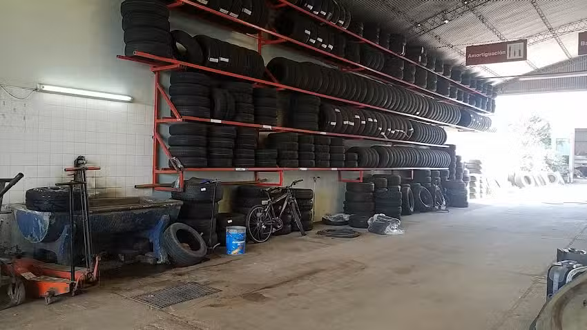 Palarich Neum&aacute;ticos San Gregorio