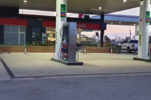 Parador VALLEJO HNOS Estacion de Servicio PUMA Energy