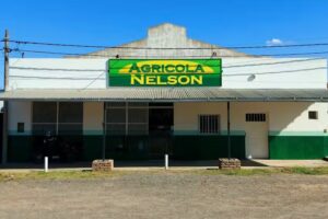 Pasi&oacute;n por el arco