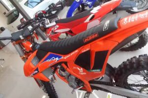 Perro competici&oacute;n