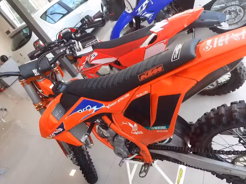 Perro competici&oacute;n