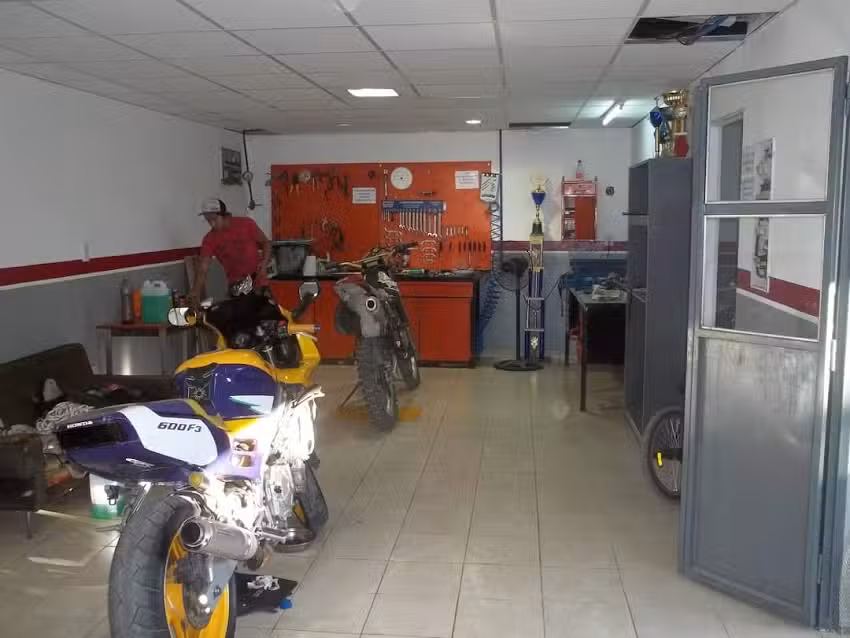 Picus competici&oacute;n