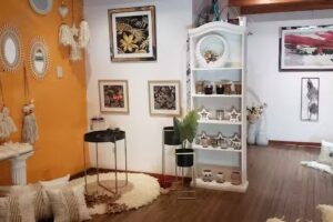 Pinotea-Regalos y Tendencias