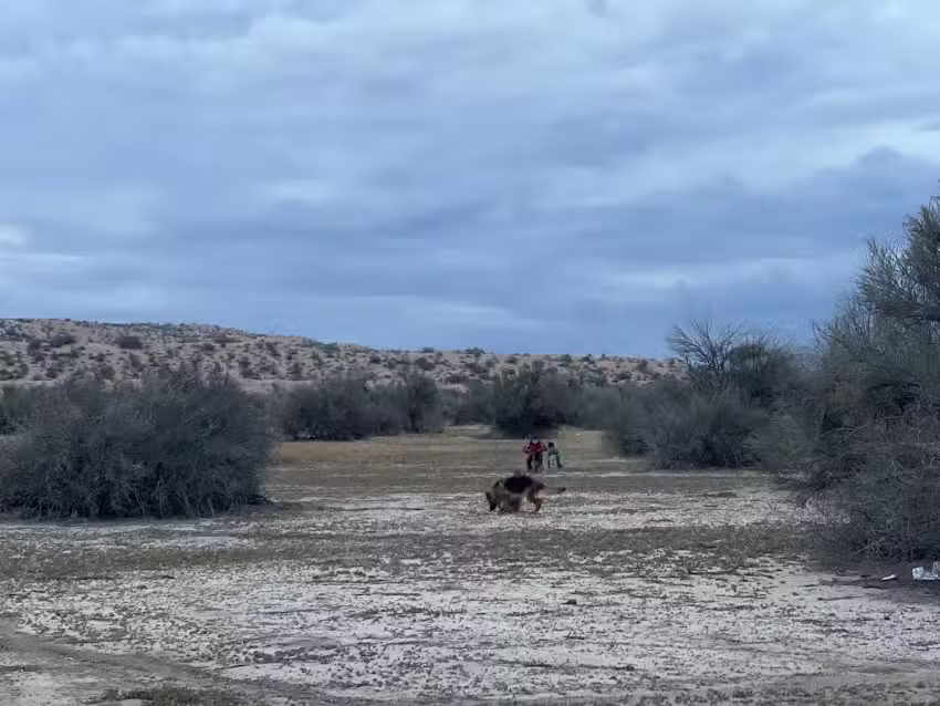 Pozo de Los Algarrobos