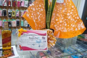 Punto DOC &ndash; Punto CELU