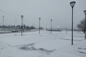 Ratones Taller de Motocicletas