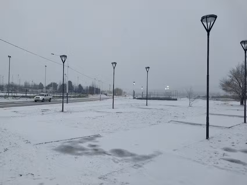 Ratones Taller de Motocicletas