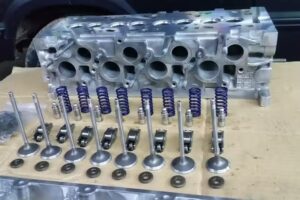 RECTIFICACION NORBERTO