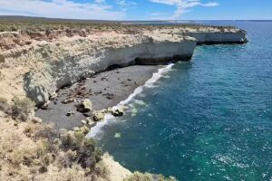 Reserva Lober&iacute;a de Punta Loma