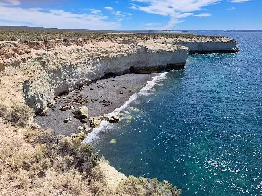 Reserva Lober&iacute;a de Punta Loma