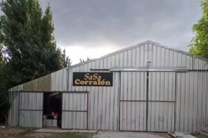 Sa.Sa. Corral&oacute;n y Ferreter&iacute;a