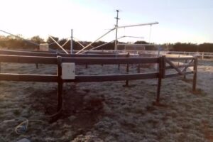 Stud de Recria el Invicto ..P.Avila