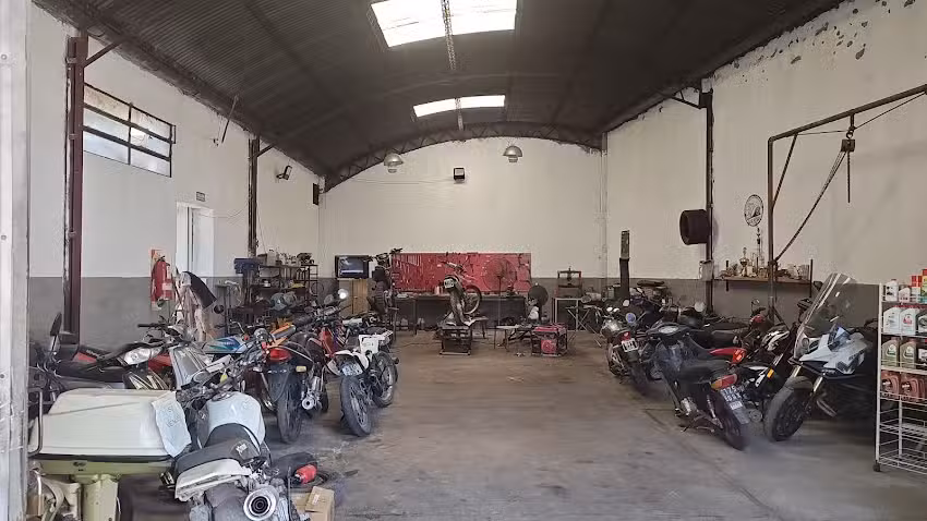 Taller Dami&aacute;n