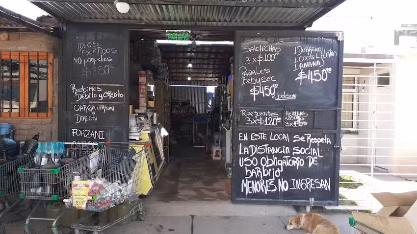 Todo ofertas/Claudia carrieri