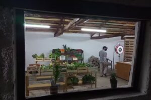 Verduler&iacute;a y fruter&iacute;a TutuKan