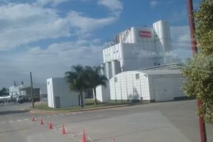 Veronica S.A Planta Lehmann