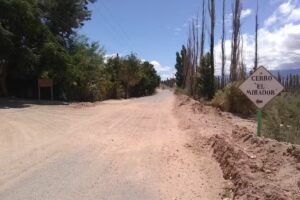 Vino Artesanal (Flia Quilpatay)