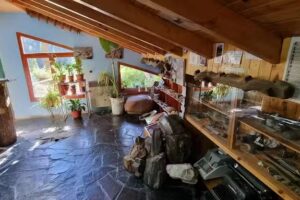 Vivero provincial Huinganco Museo del &Aacute;rbol