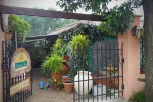 Vivero “Rancho Los Talas”