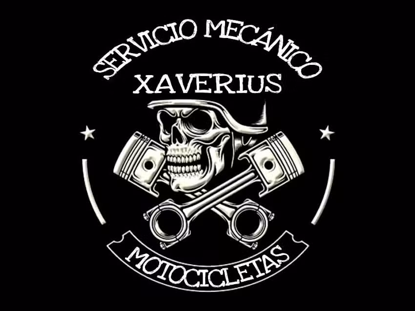 Xaverius motores 2t y 4t