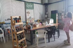 Zopilote de la Patagonia